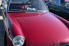 IMG-20260413-WA0012
